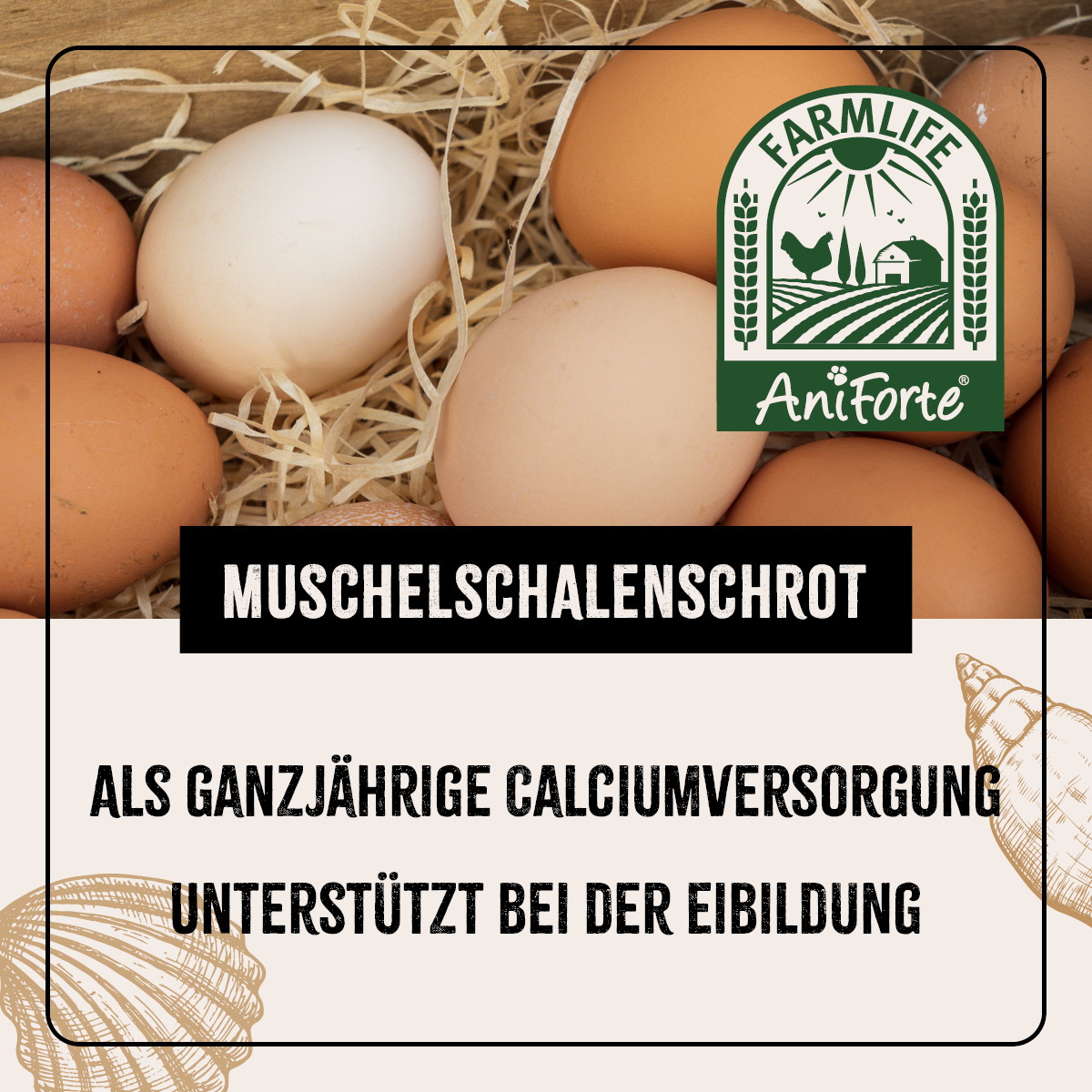 Aniforte Futter & Heu Aniforte FarmLife Muschelgrit für Hühner 5kg
