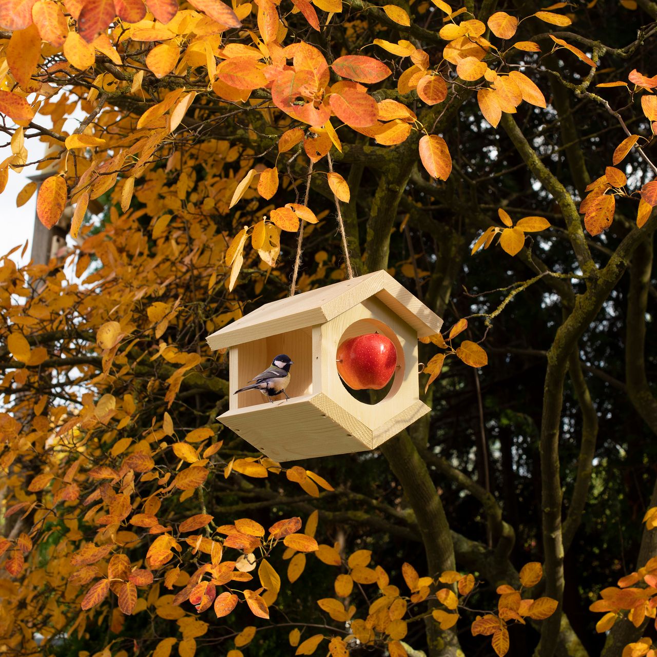 Tevigo Gardigo Vogel-Futterhaus Modul gewinkelt