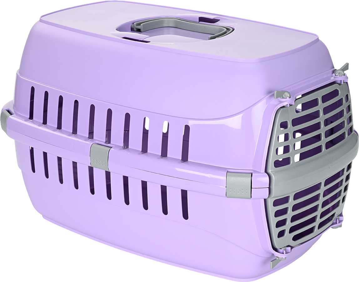 FIT+FUN Transportboxen & Gitterboxen FIT+FUN Transportbox max. 5 kg lila