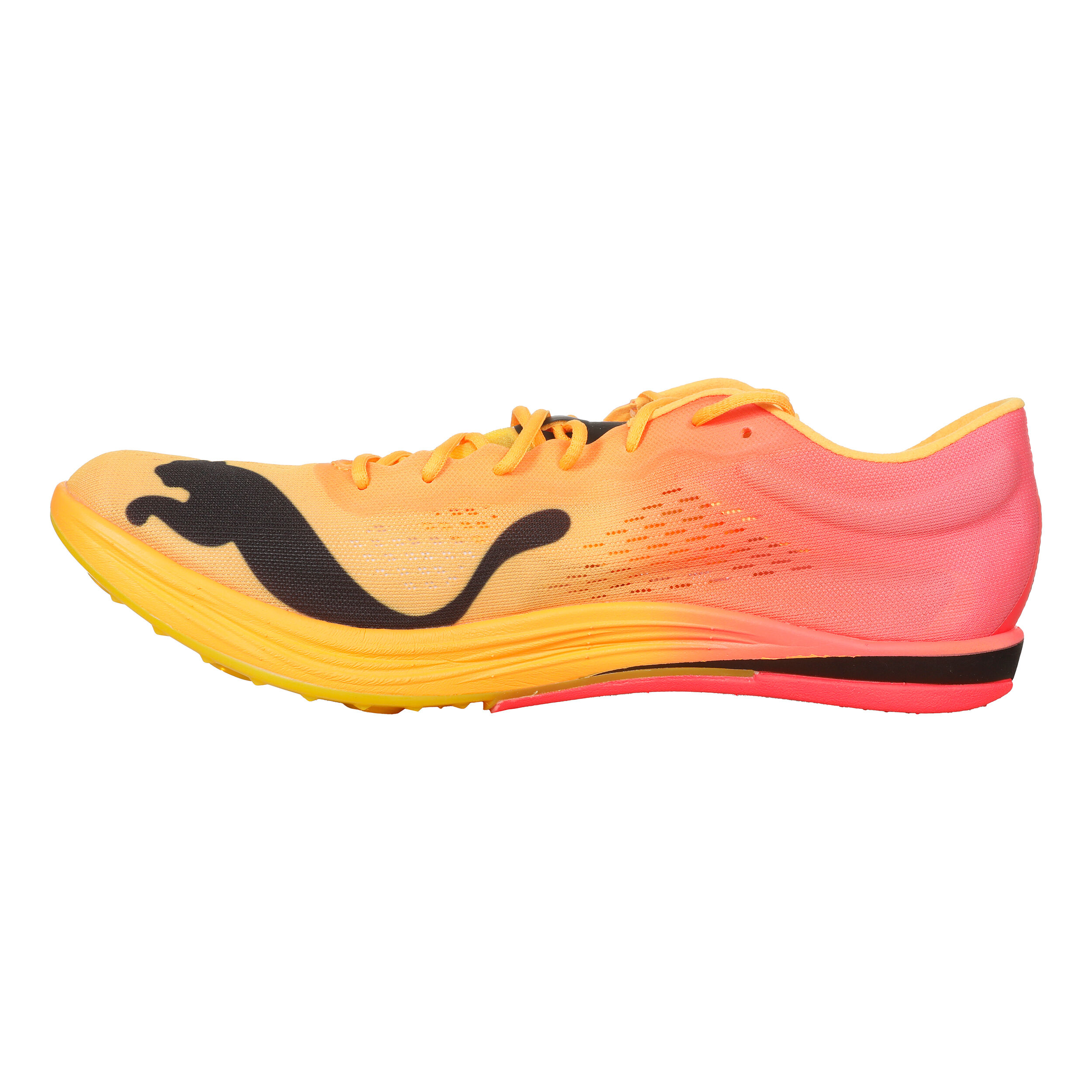 EvoSPEED Long Distance Nitro Elite+ Spikeschuh Herren - Orange, Pink