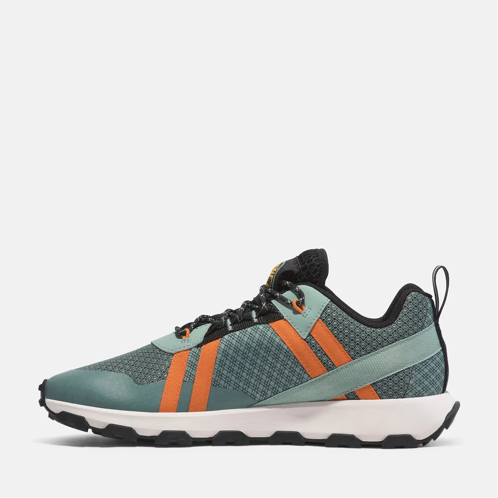 Timberland Winsor Trail Low top TB0A6BR5EAS1 / grün