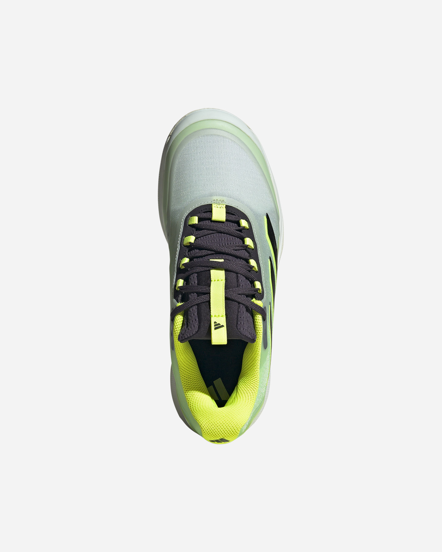 Tenisové topánky Adidas Avacourt 2 W IF0400