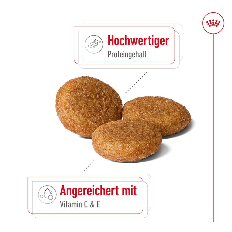 Royal Canin Medium Adult  zu TOP-Preisen
