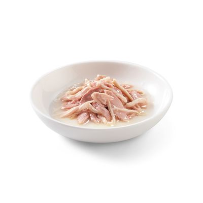 Sparpaket Schesir Natural mit Reis 24 x 85 g