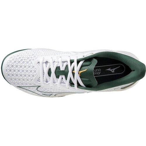 HERREN TENNISOUTDOORSCHUHE WAVE EXCEED TOUR 5CC(U)