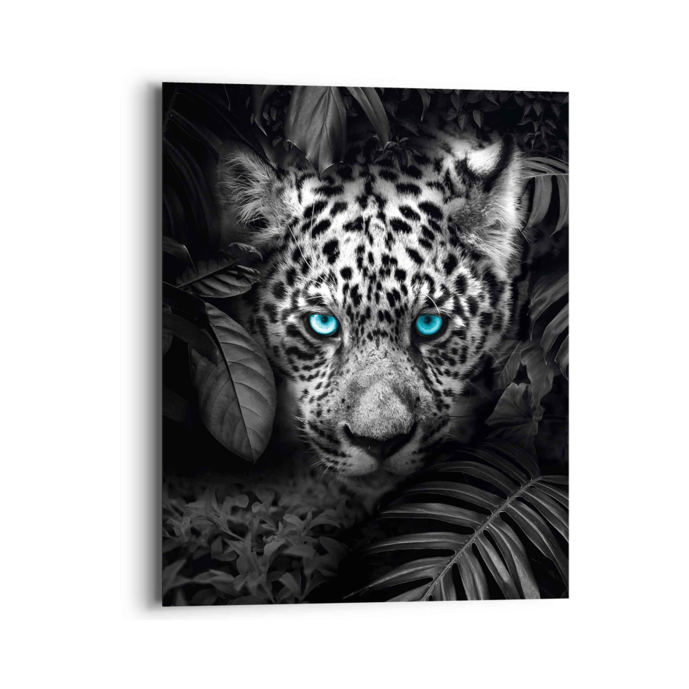 Bild Blue Eyed Leopard