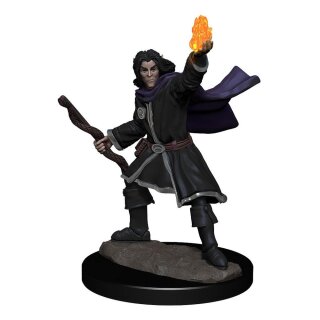 Pathfinder Deepcuts: Elf Sorcerer Male