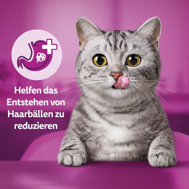 Whiskas Knuspertaschen XXL Mixcase zu TOP-Preisen