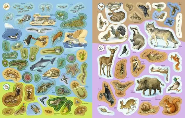 Ravensburger Wieso? Weshalb? Warum? Stickerheft: Heimische Tiere