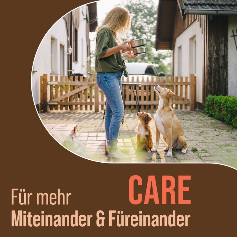 mera Care Adult Lachs zu TOP-Preisen