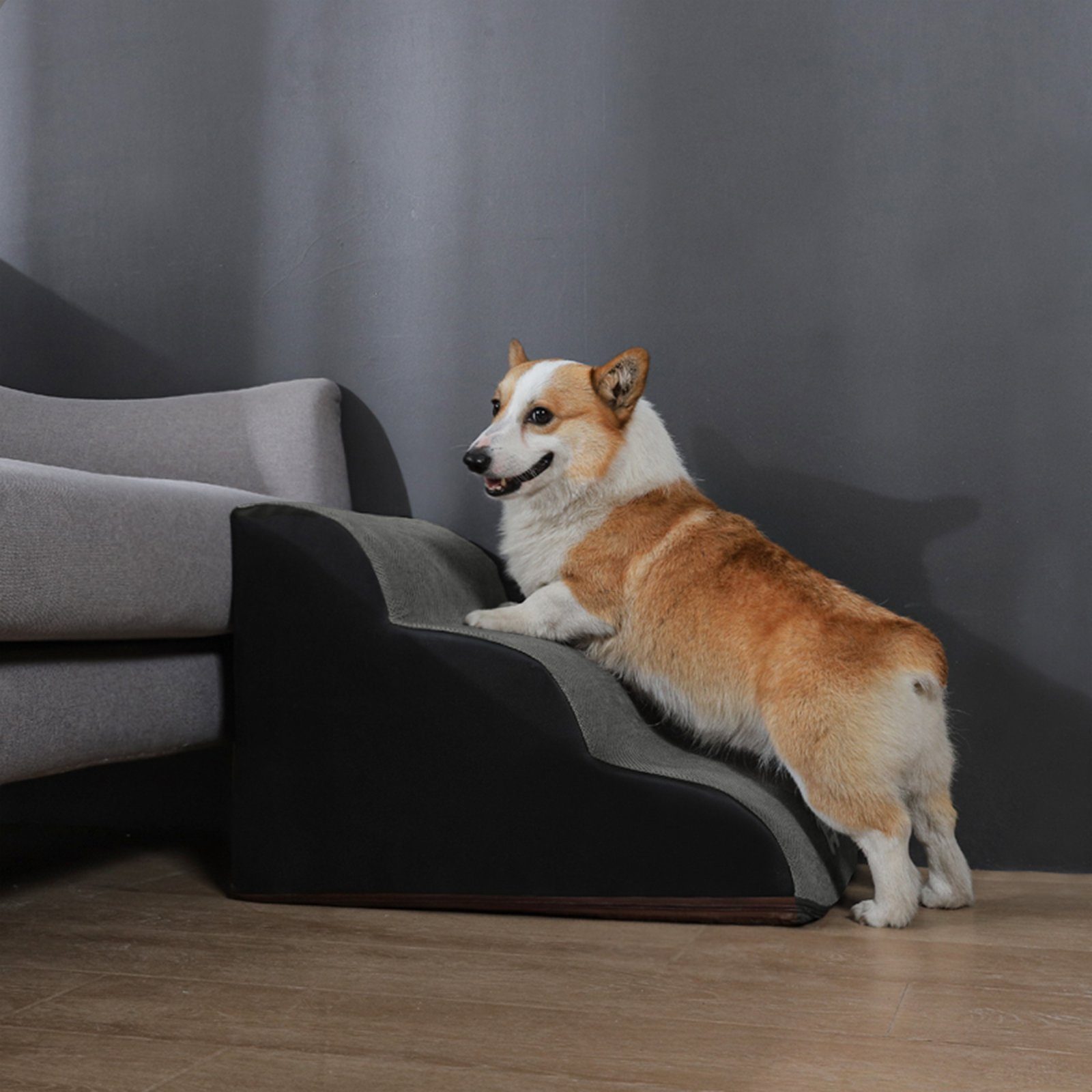 CALIYO Hunderampe Hundetreppe 3 Schichten Haustiertreppe Hundetreppe Katzentreppe, für Kleine Hunde Welpe Katzen aus Sofa Bett rutschfest