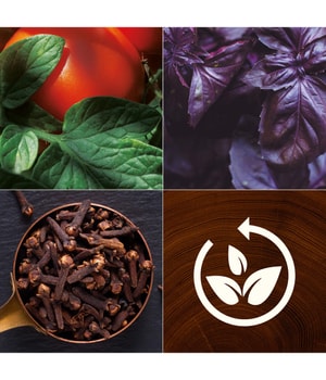 WoodWick ReNew Tomato Leaf & Basil Duftkerze-184 g