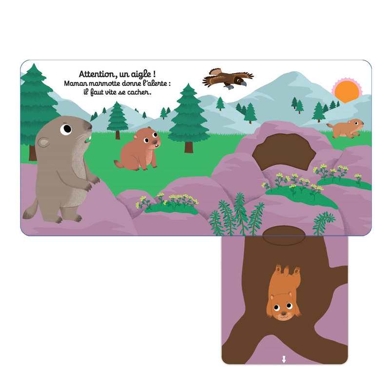 Livre Bonne nuit petite marmotte - Nathan Jeunesse