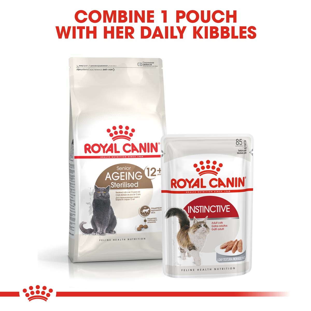 ROYAL CANIN AGEING 12+ Sterilised Trockenfutter für ältere kastrierte Katzen