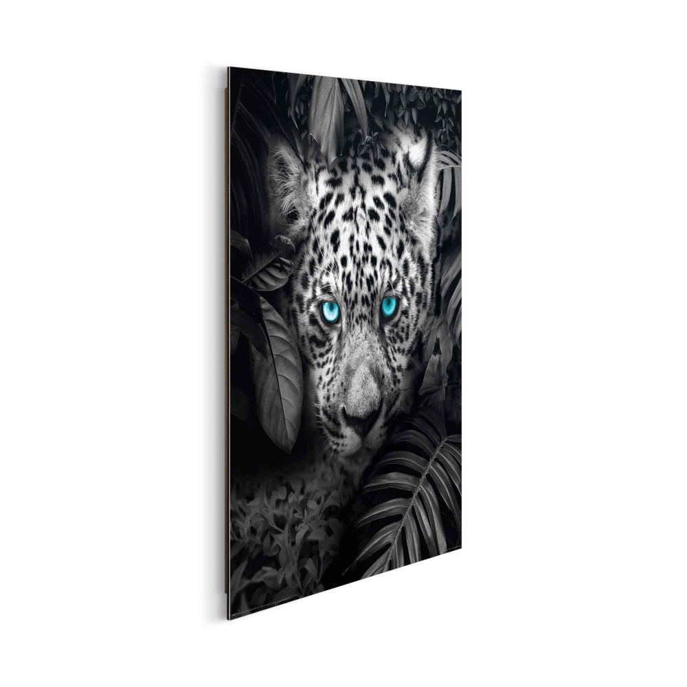 Bild Blue Eyed Leopard