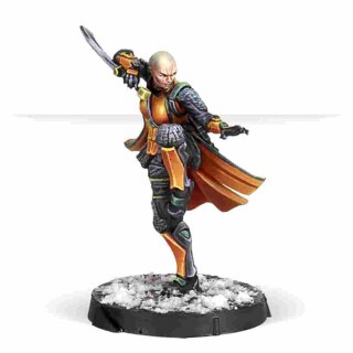 Shaolin Warrior Monks