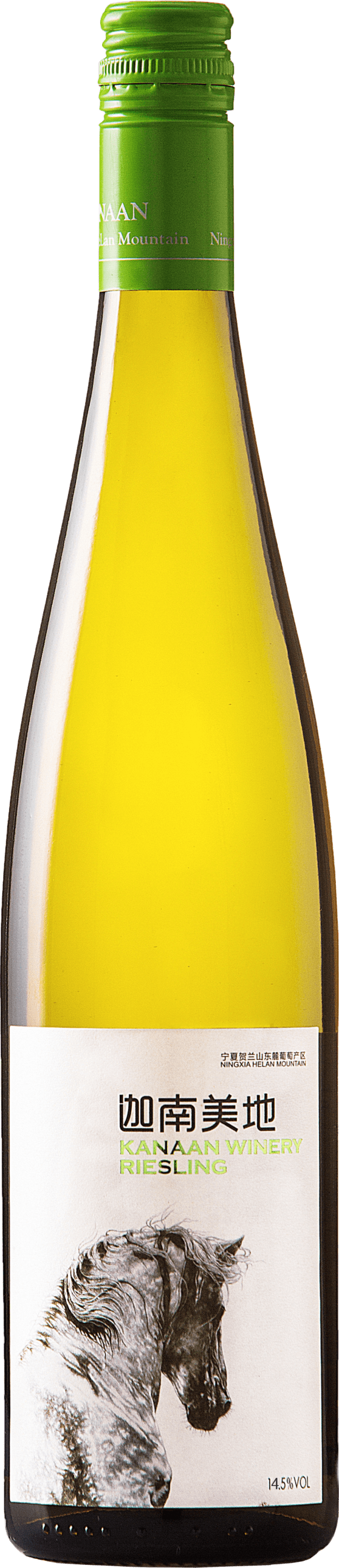 Riesling 2021