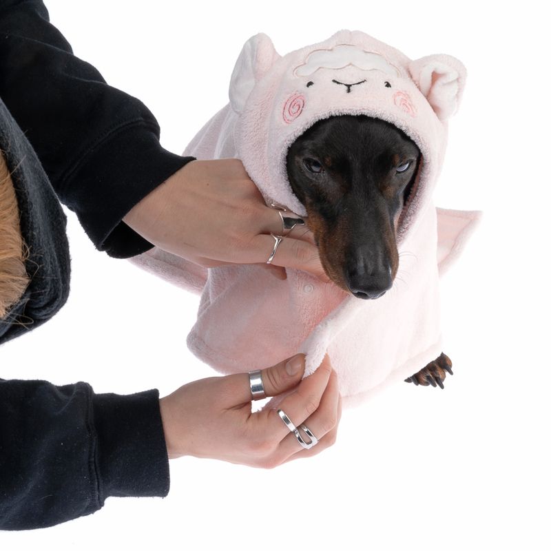TIAKI Hundebademantel Schaf zu TOP-Preisen