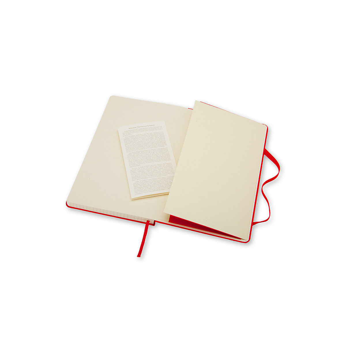 Notizbücher L/A5- Kariert Notizbücher