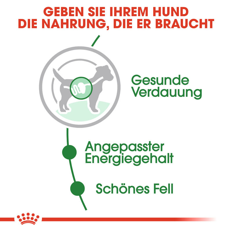 ROYAL CANIN Hundenassfutter ROYAL CANIN Mini Adult 12x85g