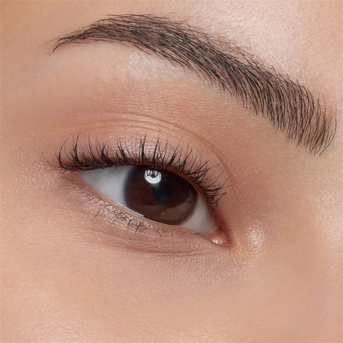 Eyebrow Powder Set