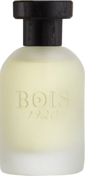 Bois 1920 Vetiver Ambrato Eau de Parfum