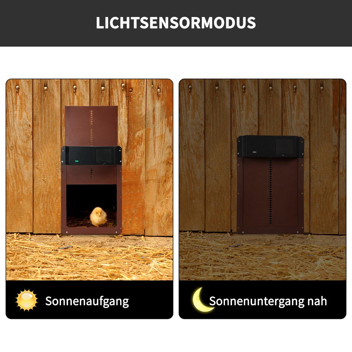 Greensky Hühnerstall Hühnerklappe Türöffner, Automatische Hühnerklappe mit Lichtsensor, Türöffner Hühnerstall, Automatisch Hühnertür, Sichere Hühneraufzucht