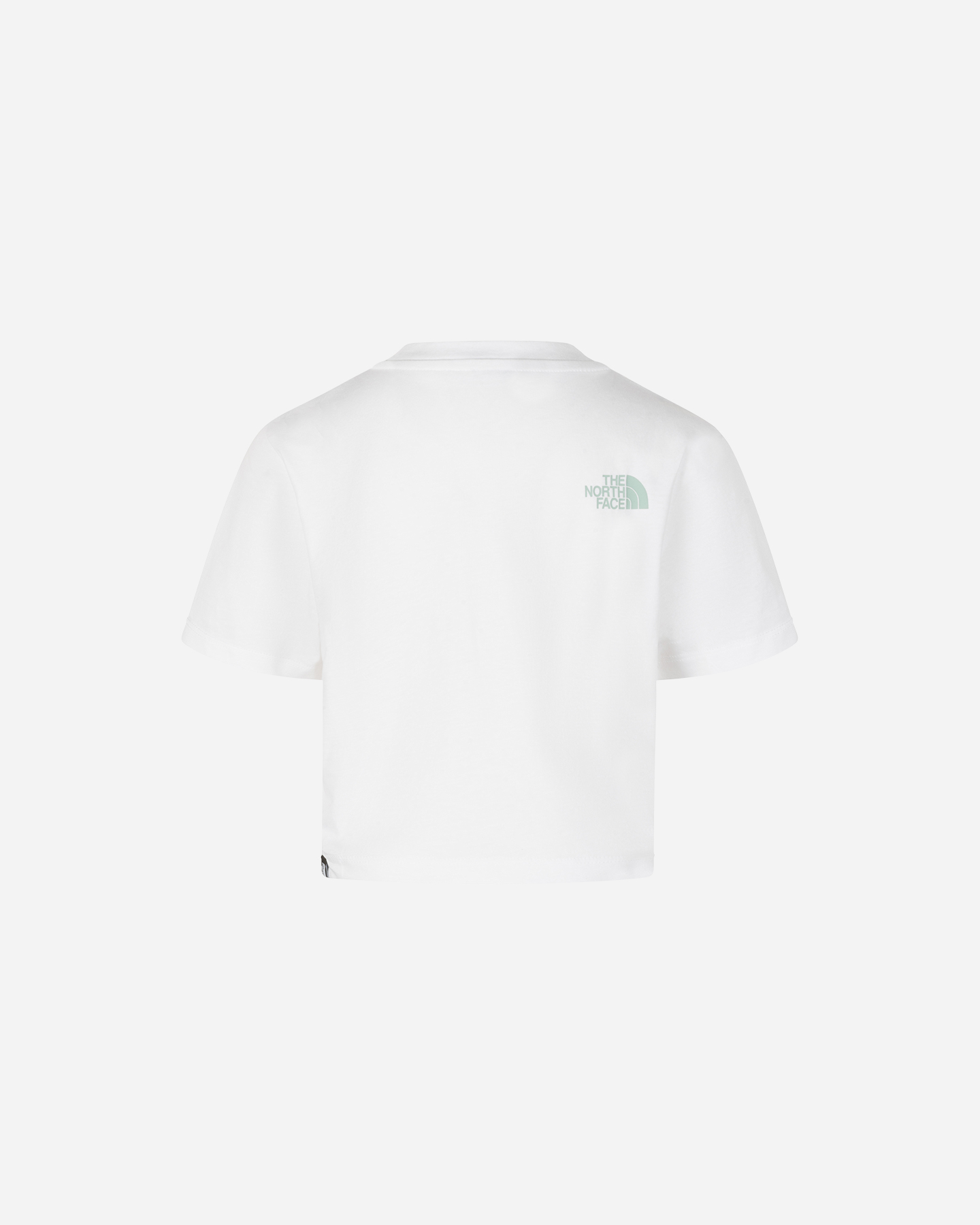 Tričko The North Face Easy Big Logo Jr NF0A8DRQFN41