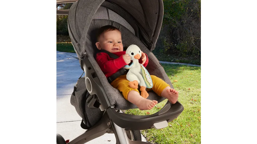 Fisher-Price Schmusegans