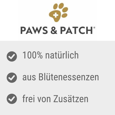 PAWS & PATCH Stress Notfall