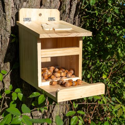 TIAKI Eichhörnchen Futterstation
