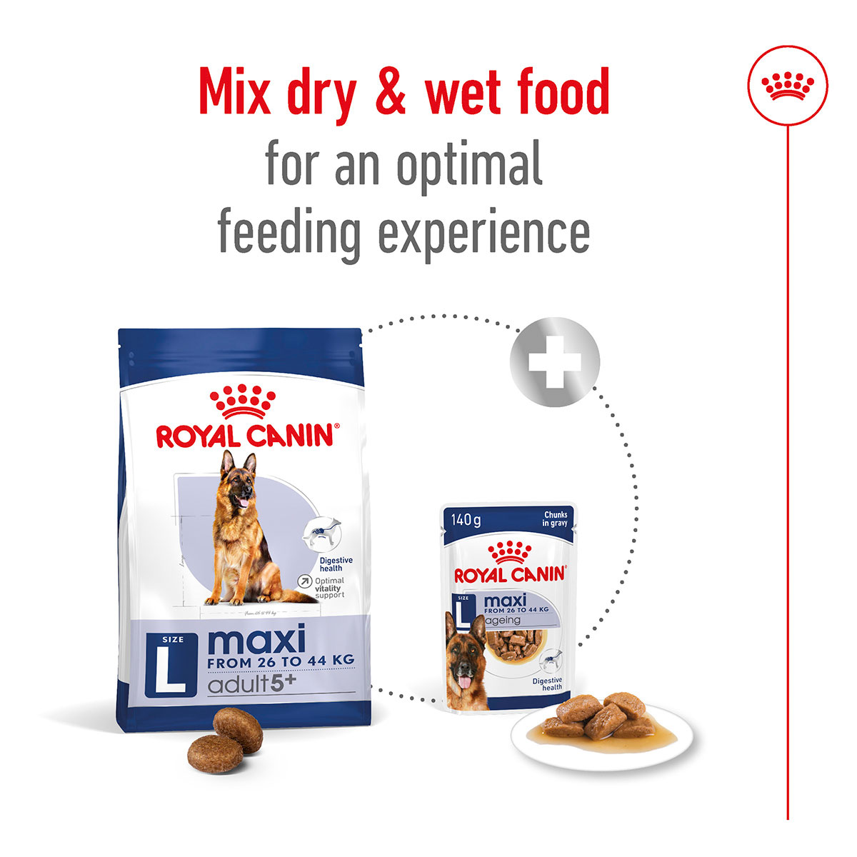 ROYAL CANIN MAXI Adult 5+ Trockenfutter für ältere große Hunde