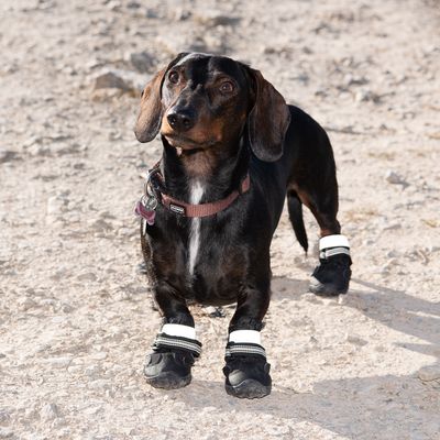 Hundeschuhe S & P Boots