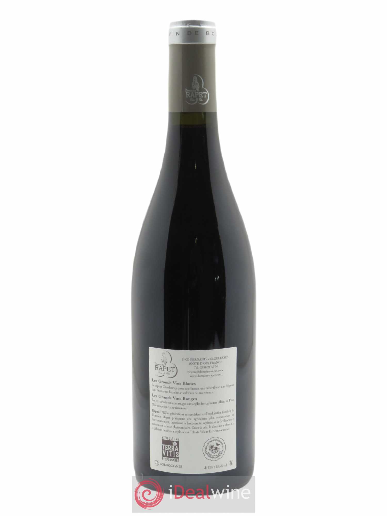 Pernand-Vergelesses 1er Cru Les Vergelesses Rapet Père & Fils  2020 - Lot de 1 Bouteille