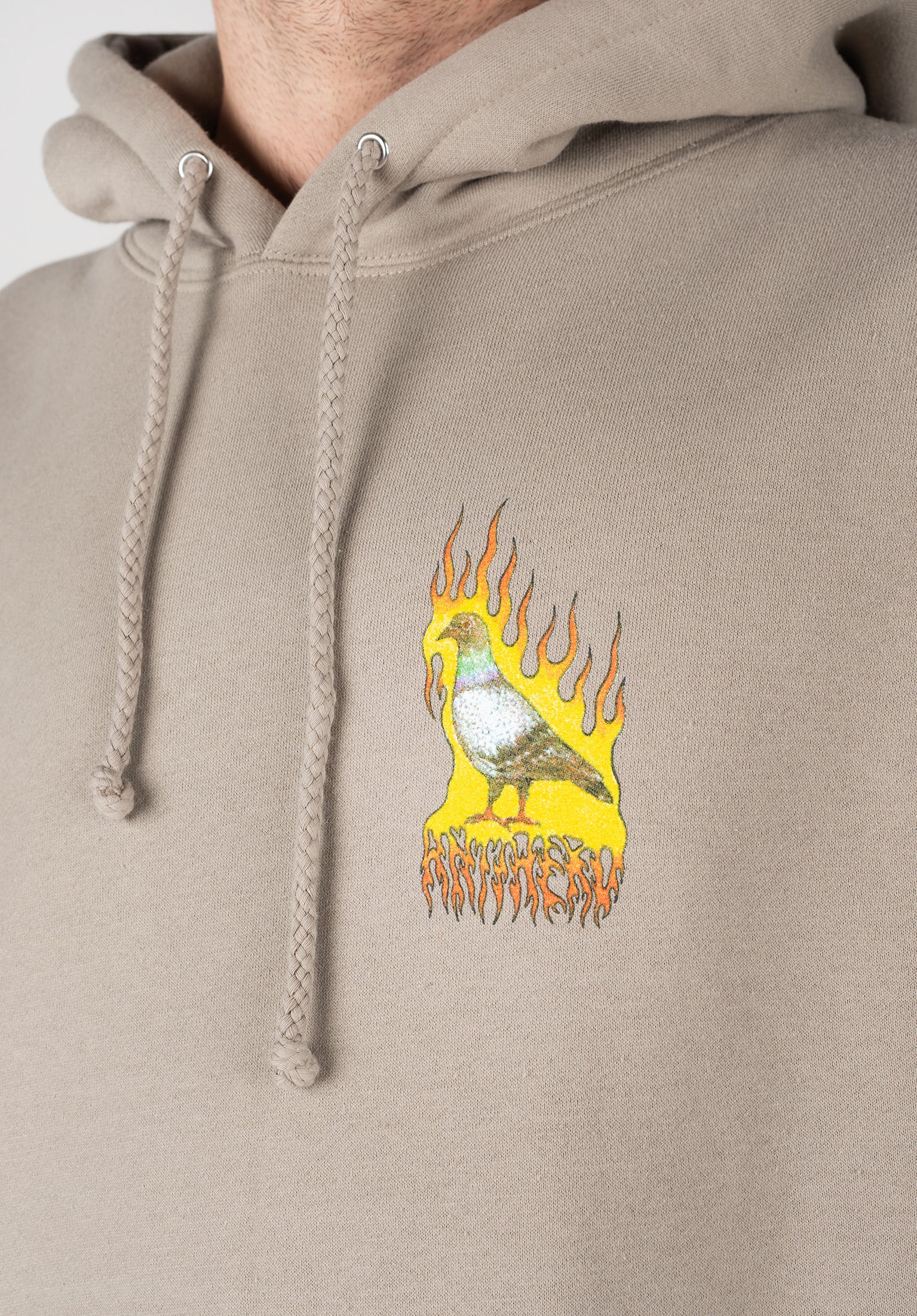 Flame Pigeon