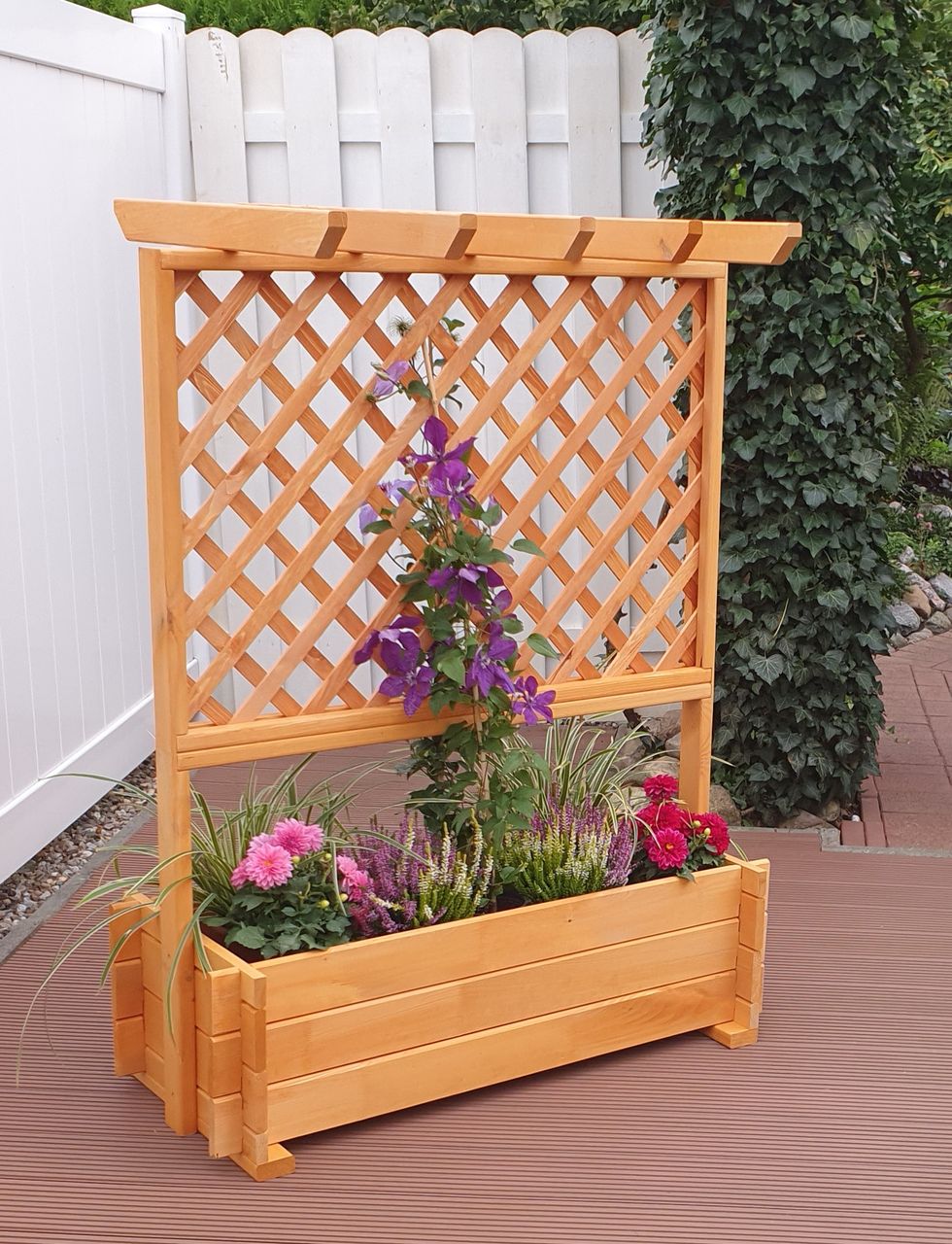 PROMEX Promadino Rankkasten mit Pergola