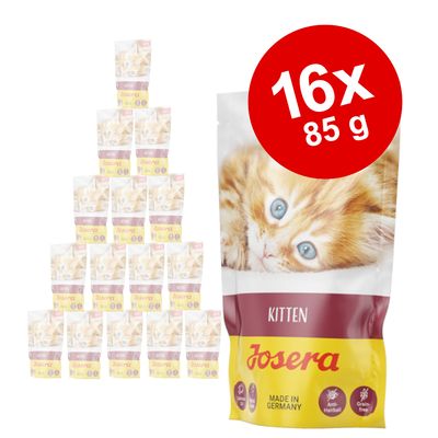 Josera Paté Kitten 16 x 85 g