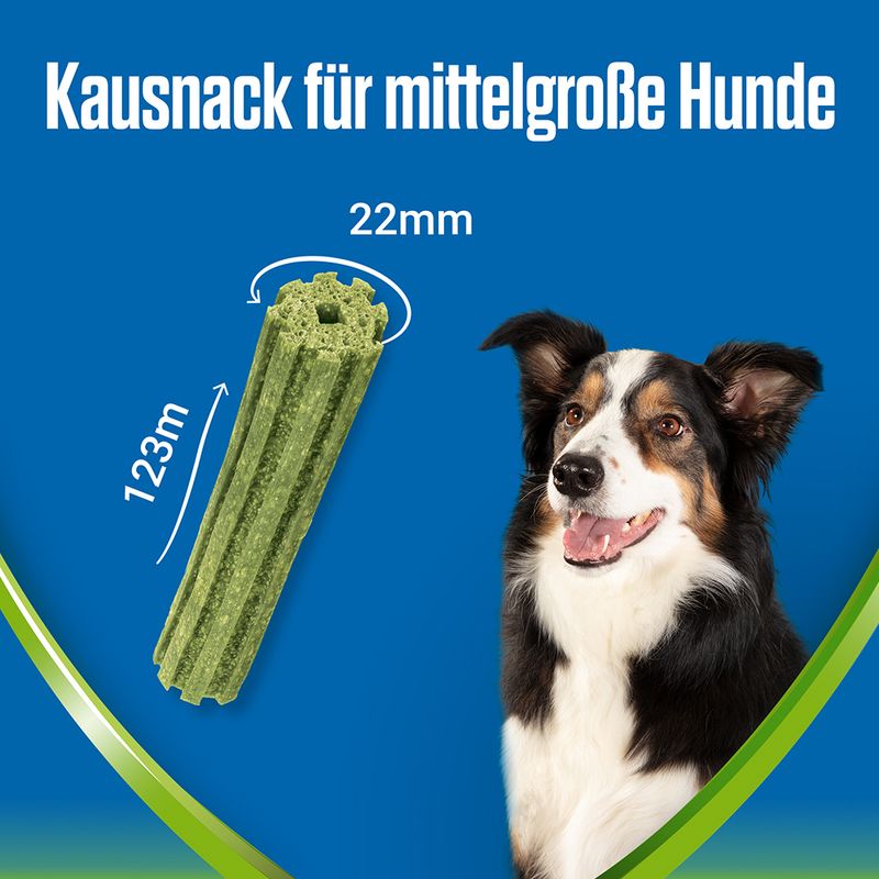 PURINA Dentalife Active Fresh für mittelgroße Hunde