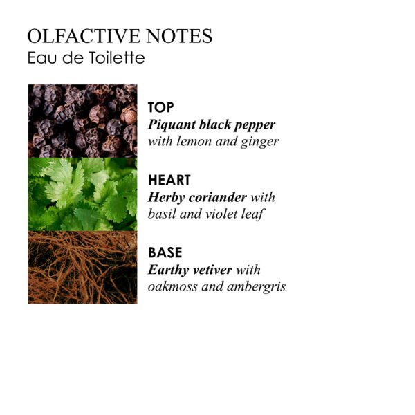 Molton Brown Re-Charge Black Pepper Eau de Toilette