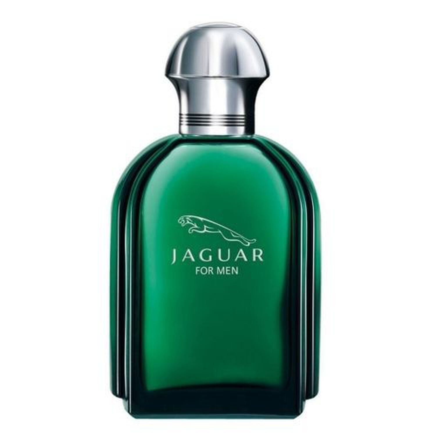 Jaguar Jaguar For Men Eau de Toilette 100 ml