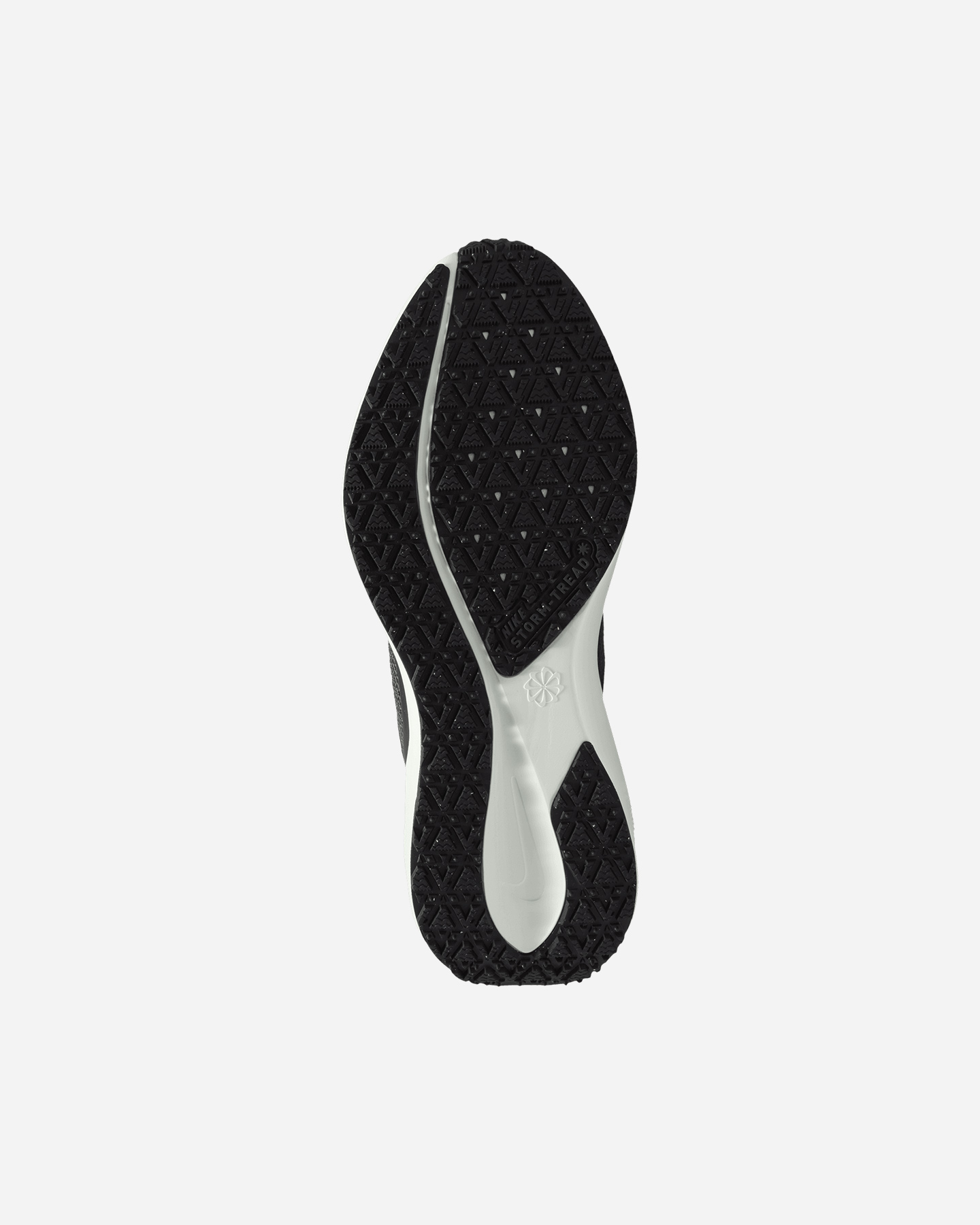 Pantofi de alergare Nike Pegasus 41 Gore-Tex W FQ1357-002