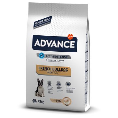 Advance French Bulldog mit Ente