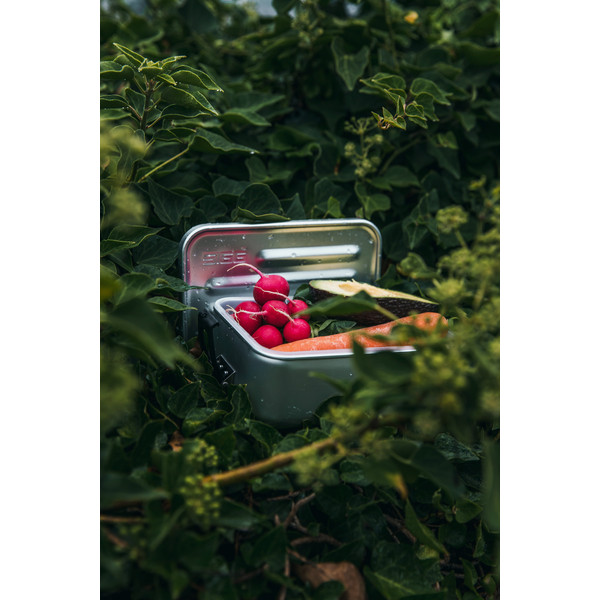 METAL BOX PLUS L - Dose