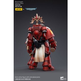 Warhammer 40k Actionfigur: Blood Angels Veteran Salus