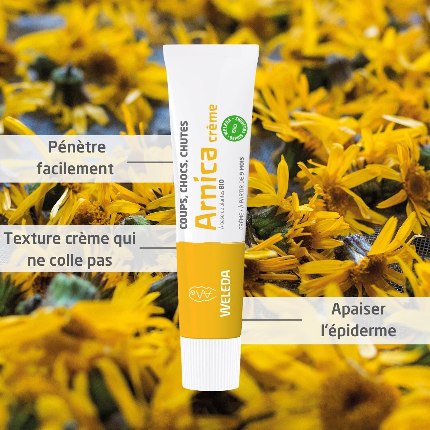 Weleda Arnica Crème Coups, Chocs, Chutes - Utilisable Dès l'Âge de 9 Mois - Tube de 25g