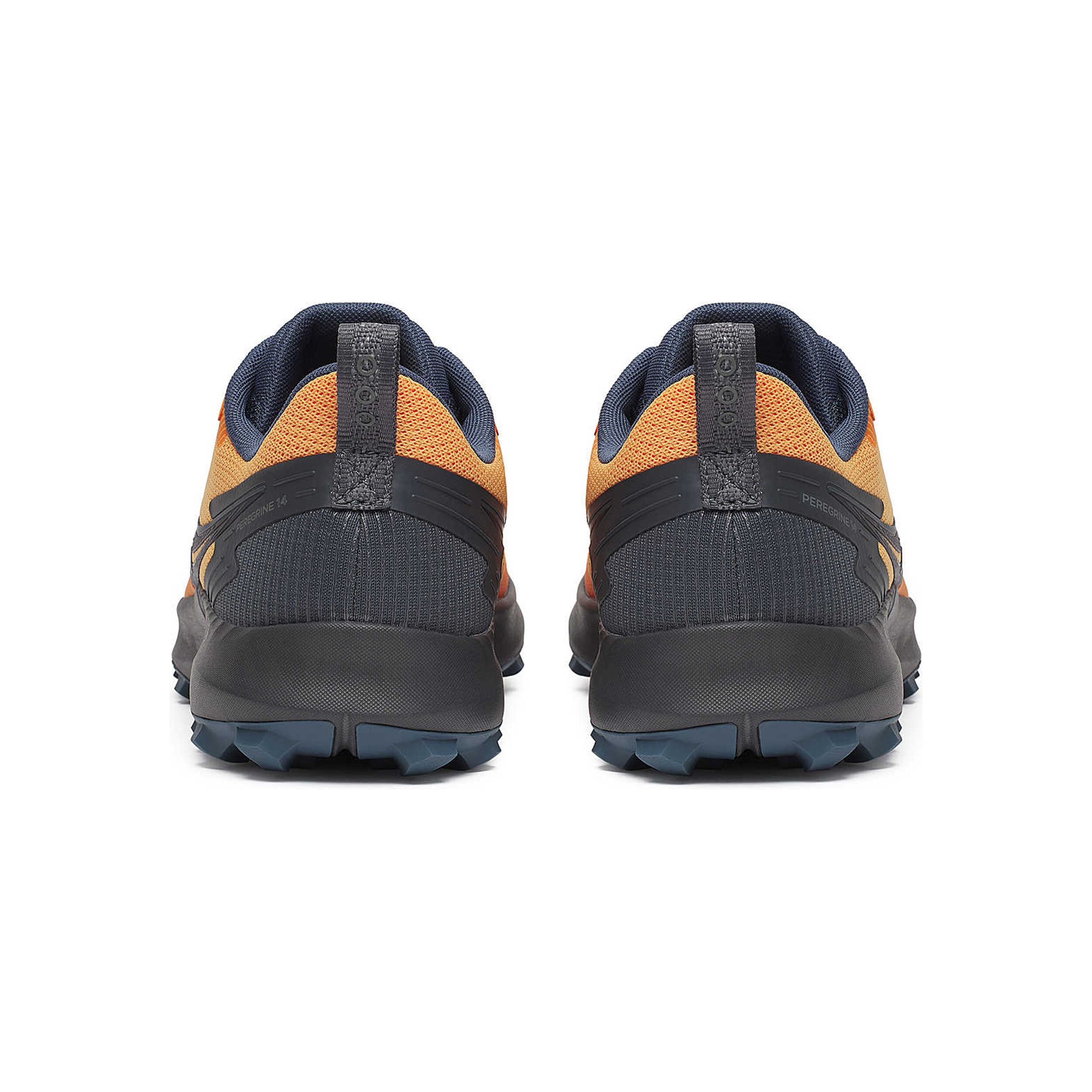 Peregrine 14 GTX Trailschuh Herren - Orange, Grau