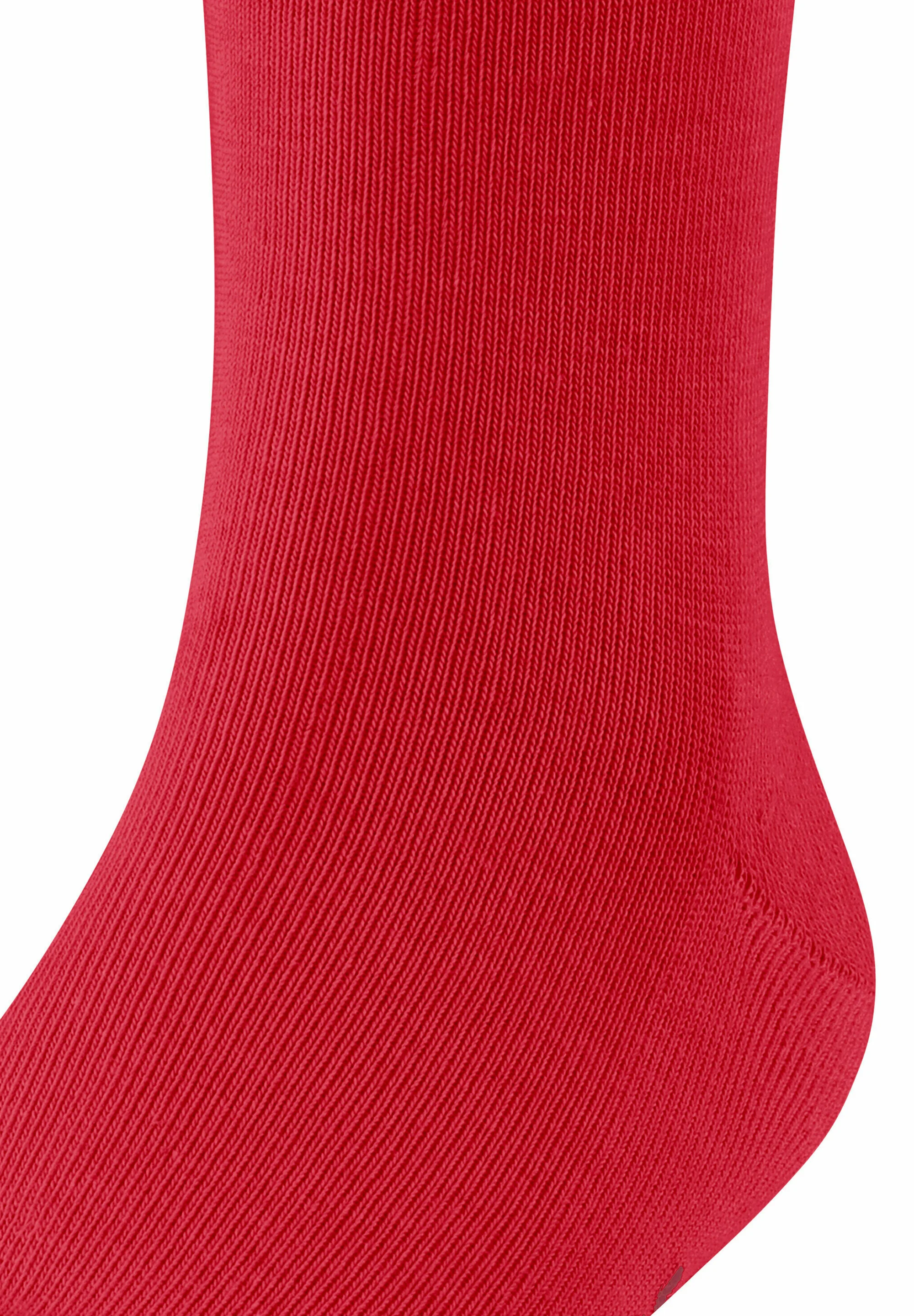 FALKE FAMILY CASUAL - Calcetines