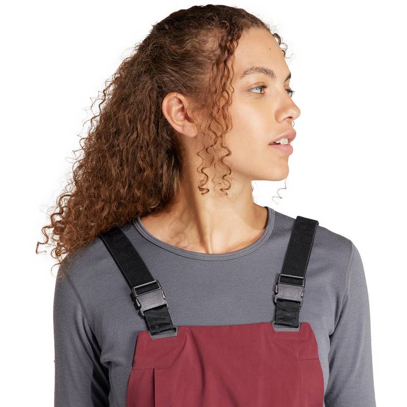 adidas 3L GTX Bib Skihose Damen
