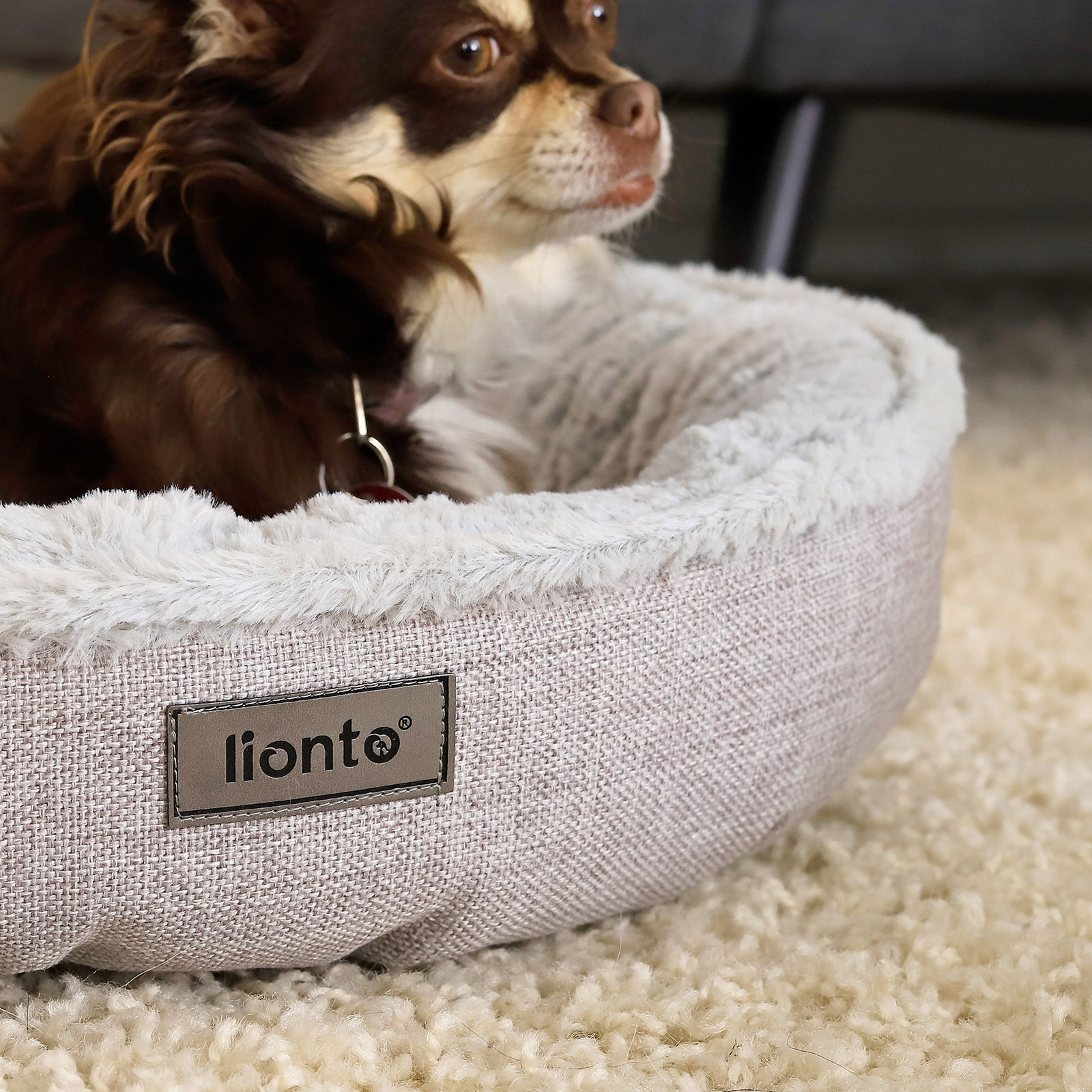 Lionto Hundebetten Lionto Rundes Hundebett grau M