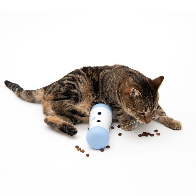 Hundespielzeug Snack Roll zu TOP-Preisen